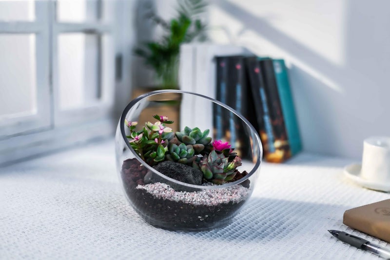 CYS EXCEL Glass Slant Cut Bubble Bowl (H-6" W-7") Clear Flower Vase Globe Bowl Terrarium Round Planter Decorative Centerpiece - Image 5